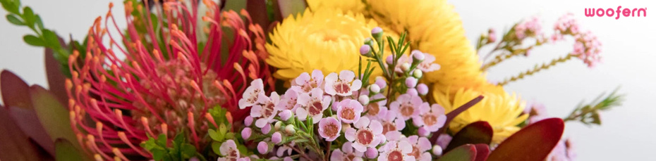 Best 7 Flowers to Gift Someone Special