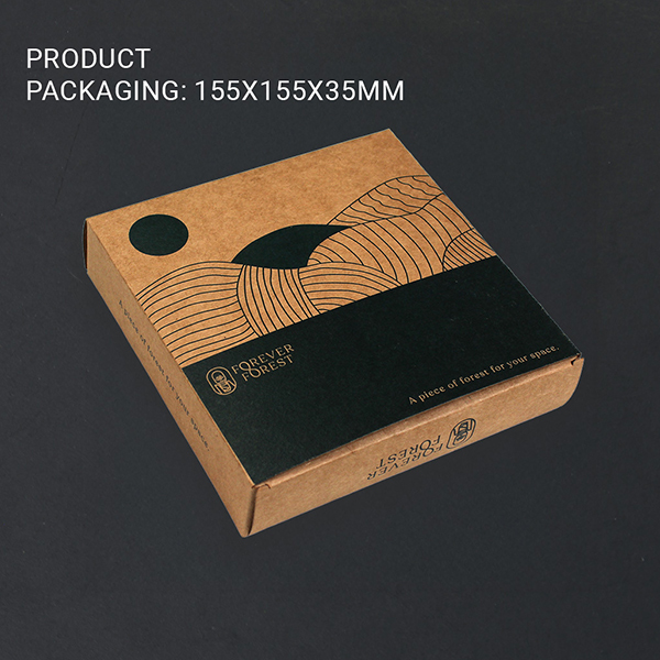 Forest Window – Moss & Botanical Frame-4