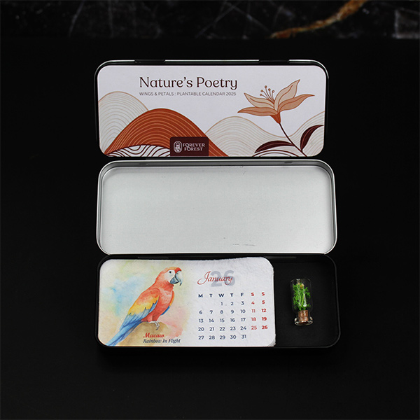 Box Forest – Plantable Calendar-5