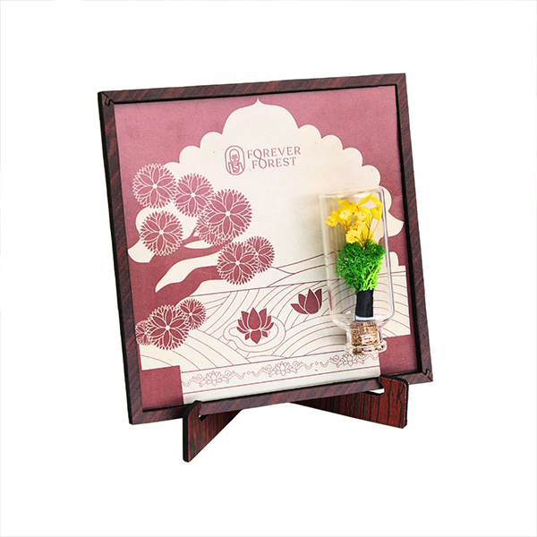 Nature’s Stage – Desk Frame with Forest Bottle-3