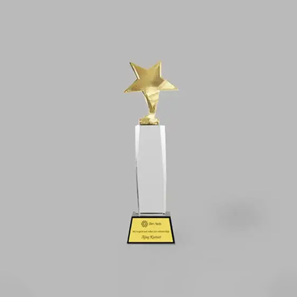 Octavia Crystal Dome Trophy - Celebrate Brilliance-0