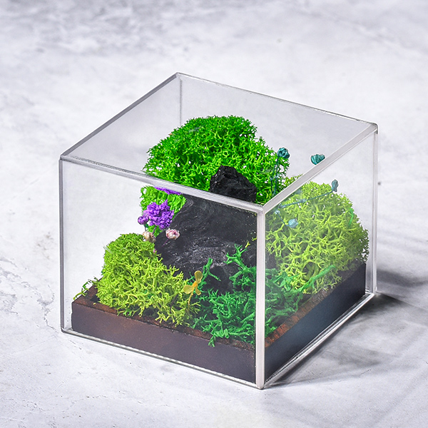 Forever Terrarium (Cube)
