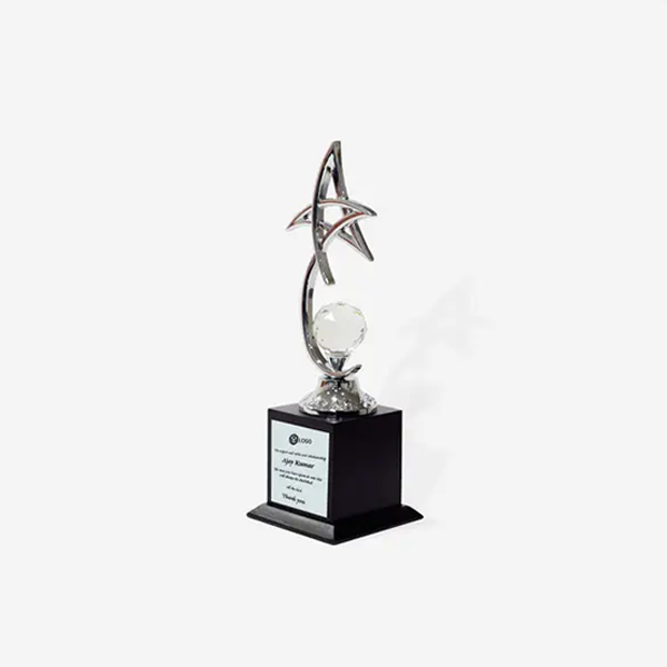Vital Silver Star Trophy-1