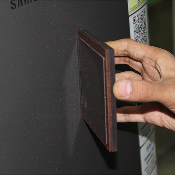 Nature’s Stage – Magnetic Forest Frame-1