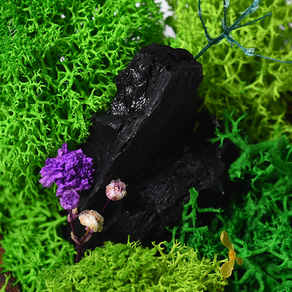 Forever Terrarium (Cube)-1