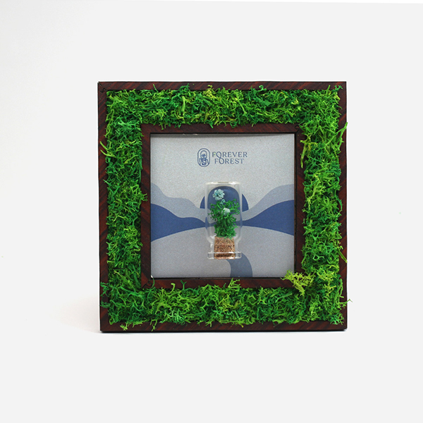 Forest Wall Frame with Glass