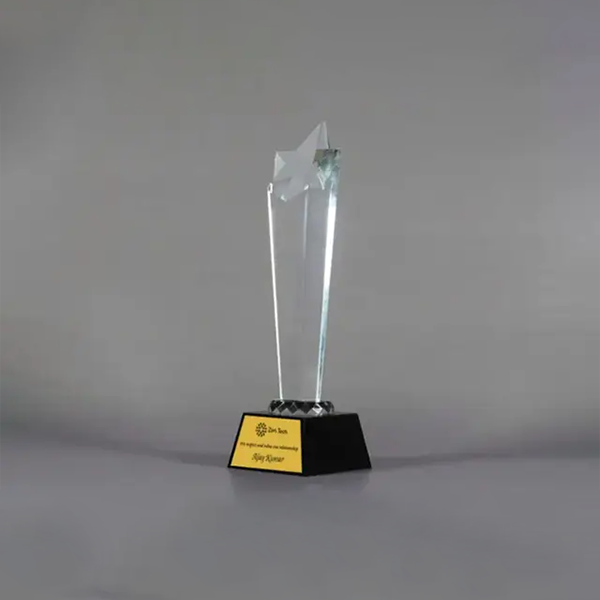 Meridian Star-Shaped Trophy-2