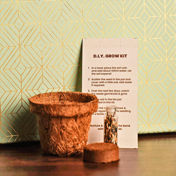 Eco Joy Diwali Gift Box – Celebrate with Taste & Tradition-4