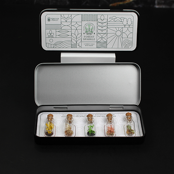 Forest Sparkle (Grow) – Premium Seed Gift Box-2