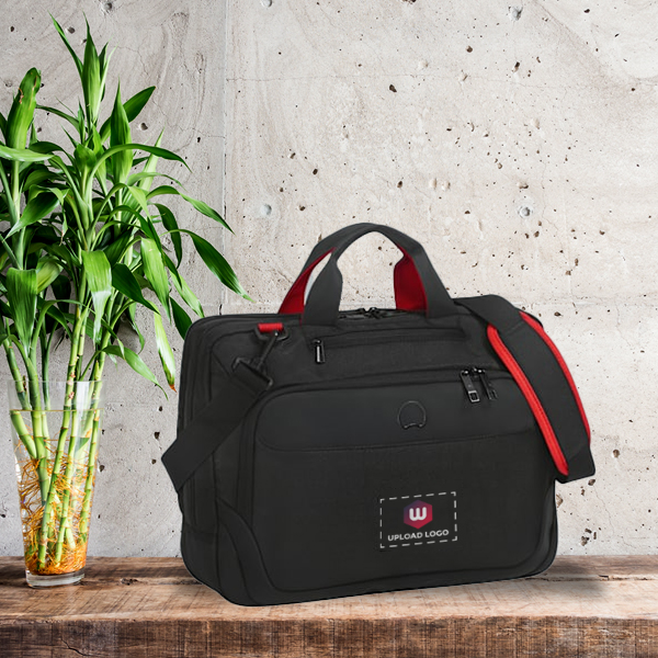 Delsey Parvis Plus Executive Laptop Bag-1
