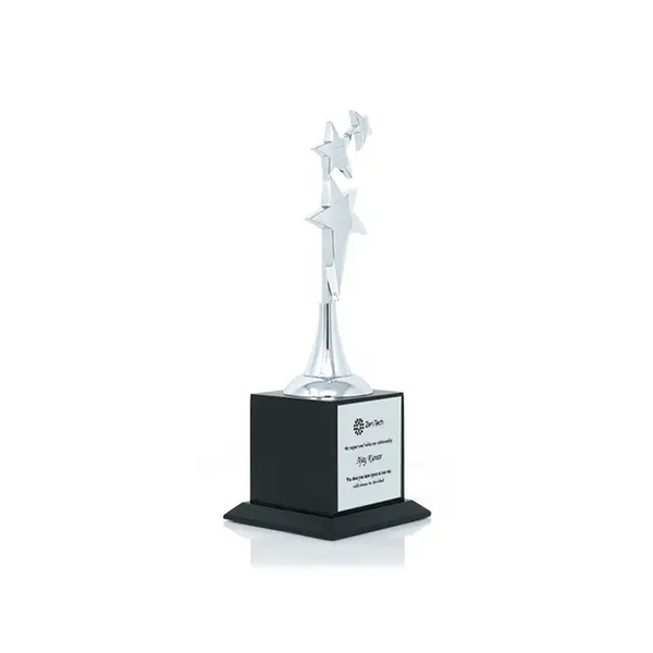 Novel Silver Wooden Trophy-1