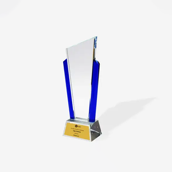 Astor Crystal Trophy - Premium Award for Excellence and Recognition-1