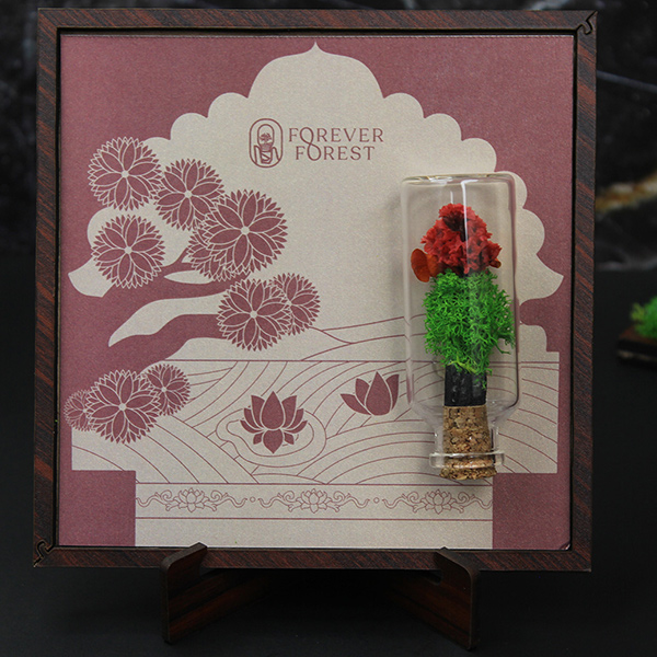 Nature’s Stage – Desk Frame with Forest Bottle-6