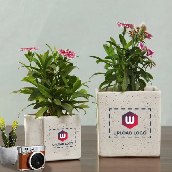Planter Set of 2 with Customization Logo-0