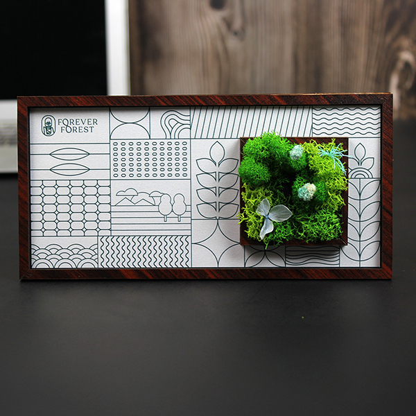 Forest Window – Moss & Art Frame-2