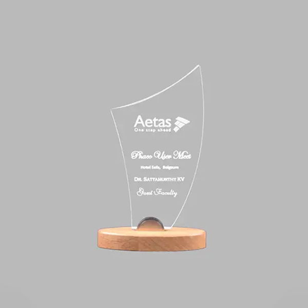Beam Acrylic Trophy - Spotlight on Achievements with Customizable Awards-0