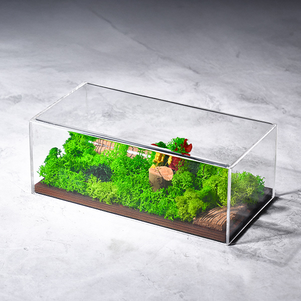 Forever Terrarium (Panorama) – Landscape Forest Display-0