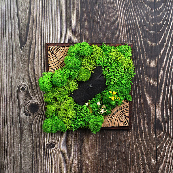 Wall Mounted Forest Tile Plus-4