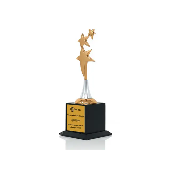 Novel Bronze Wooden Trophy-2