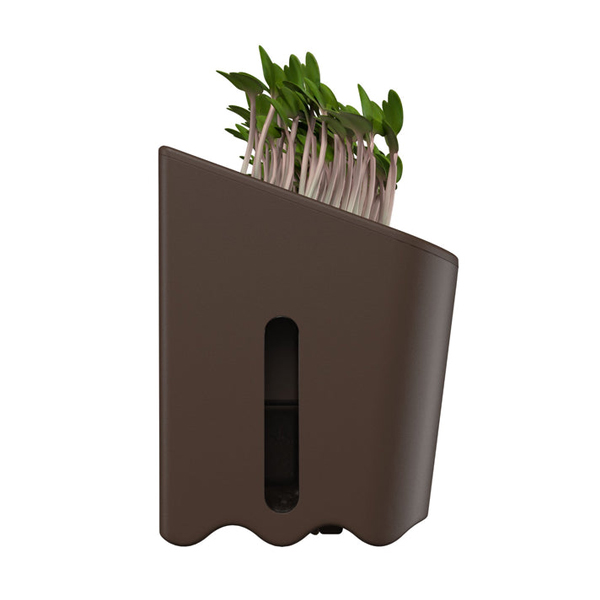 EO Terrarium Self Watering Plant Pot-2