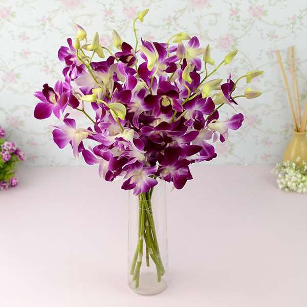 Orchids in a Vase