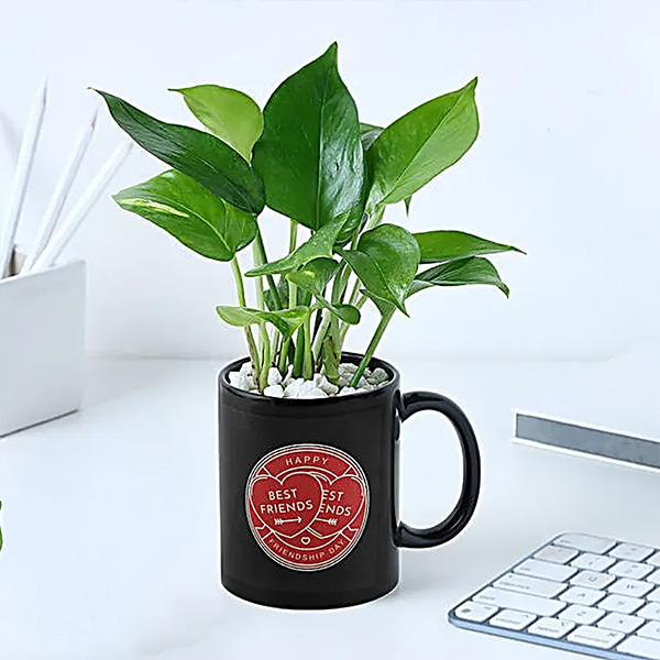 Evergreen Bond Friendship Day Mug with Money Plant-3